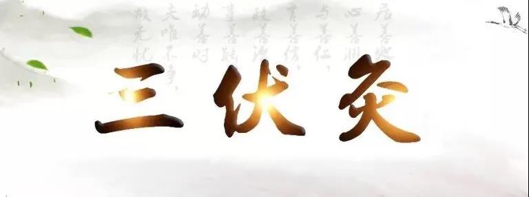 艾灸冬病夏治，春夏養陽(yáng)，三伏灸果真如此神奇？