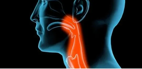 這個(gè)穴位祛痰濕，專(zhuān)克咳嗽痰多、肥胖結節！