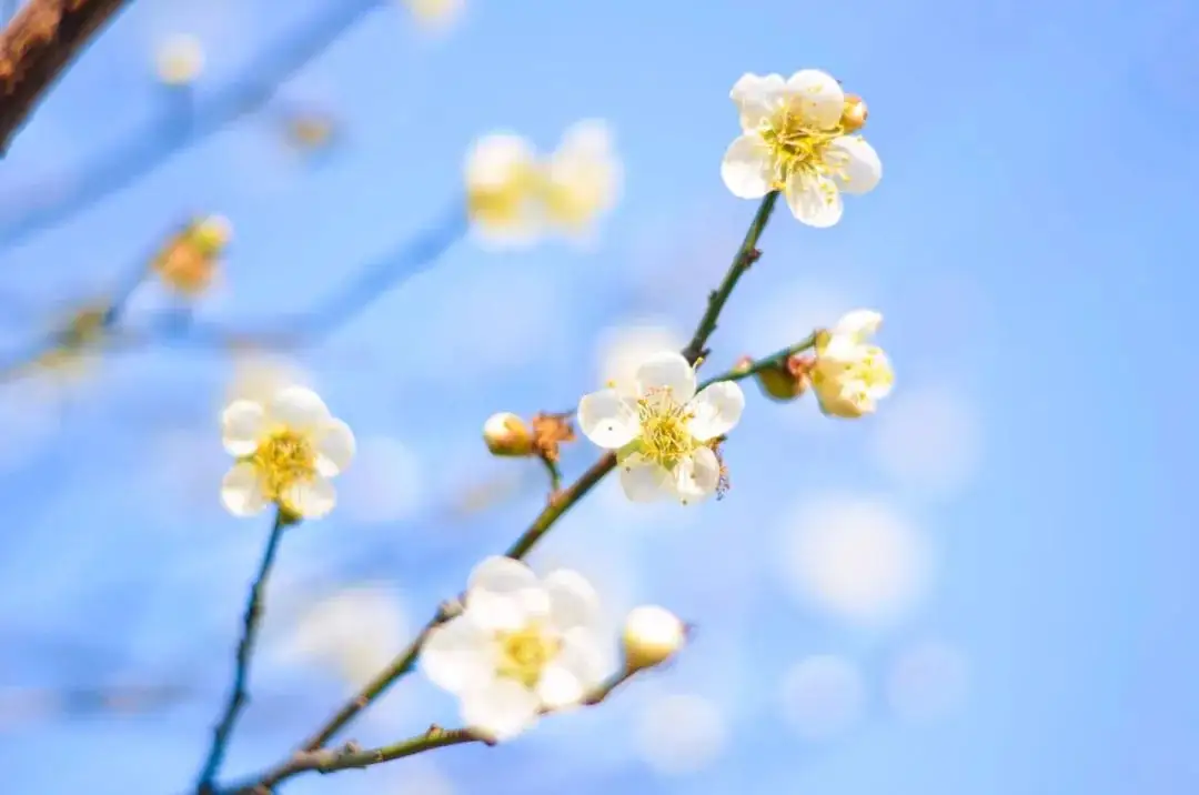 “女人的腳、男人的背”不能受寒，易落下病根!