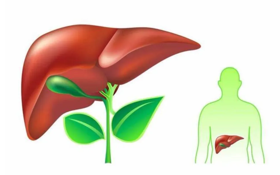 臉、眼、唇發(fā)黑，肝臟要遭殃!