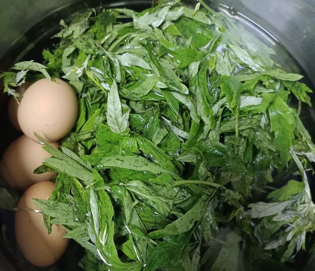 一天一個(gè)艾葉煮雞蛋，這三種好處，很少有人知道！