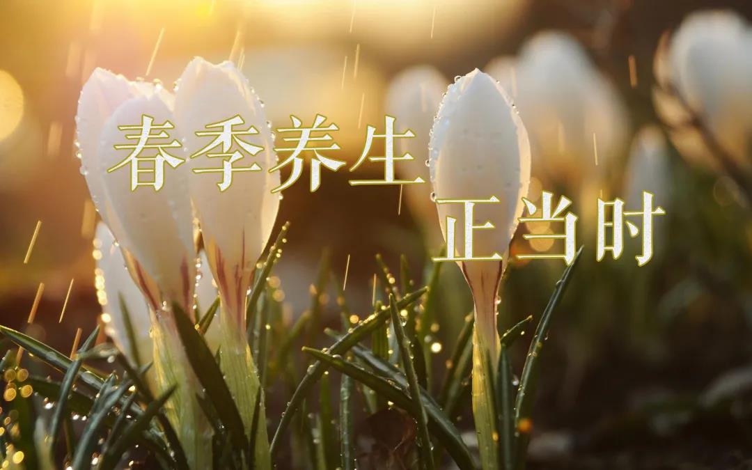 春天艾灸，陽(yáng)上增陽(yáng)，這些技巧別錯過(guò)！