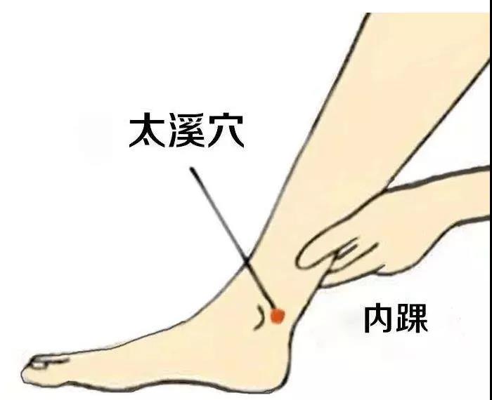 護腎養腎？這六大穴位就夠了！